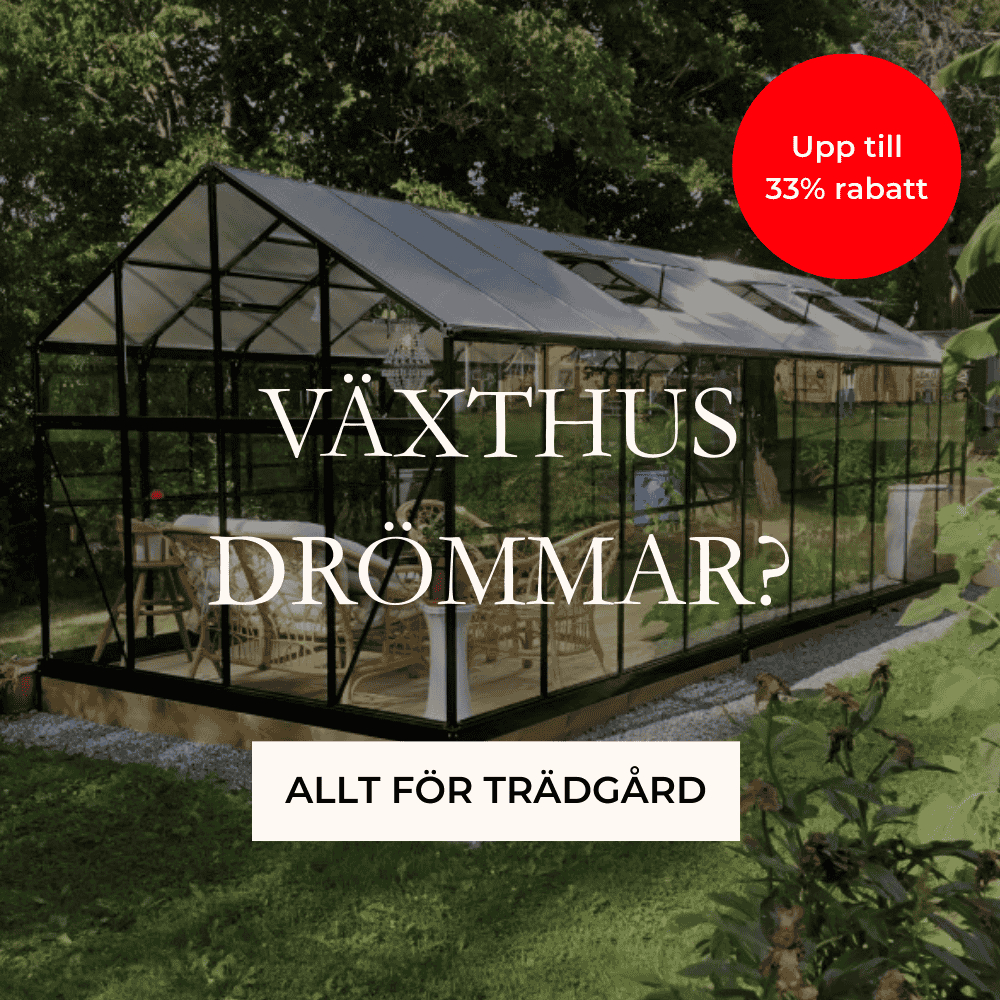 Deals p� v�xthus