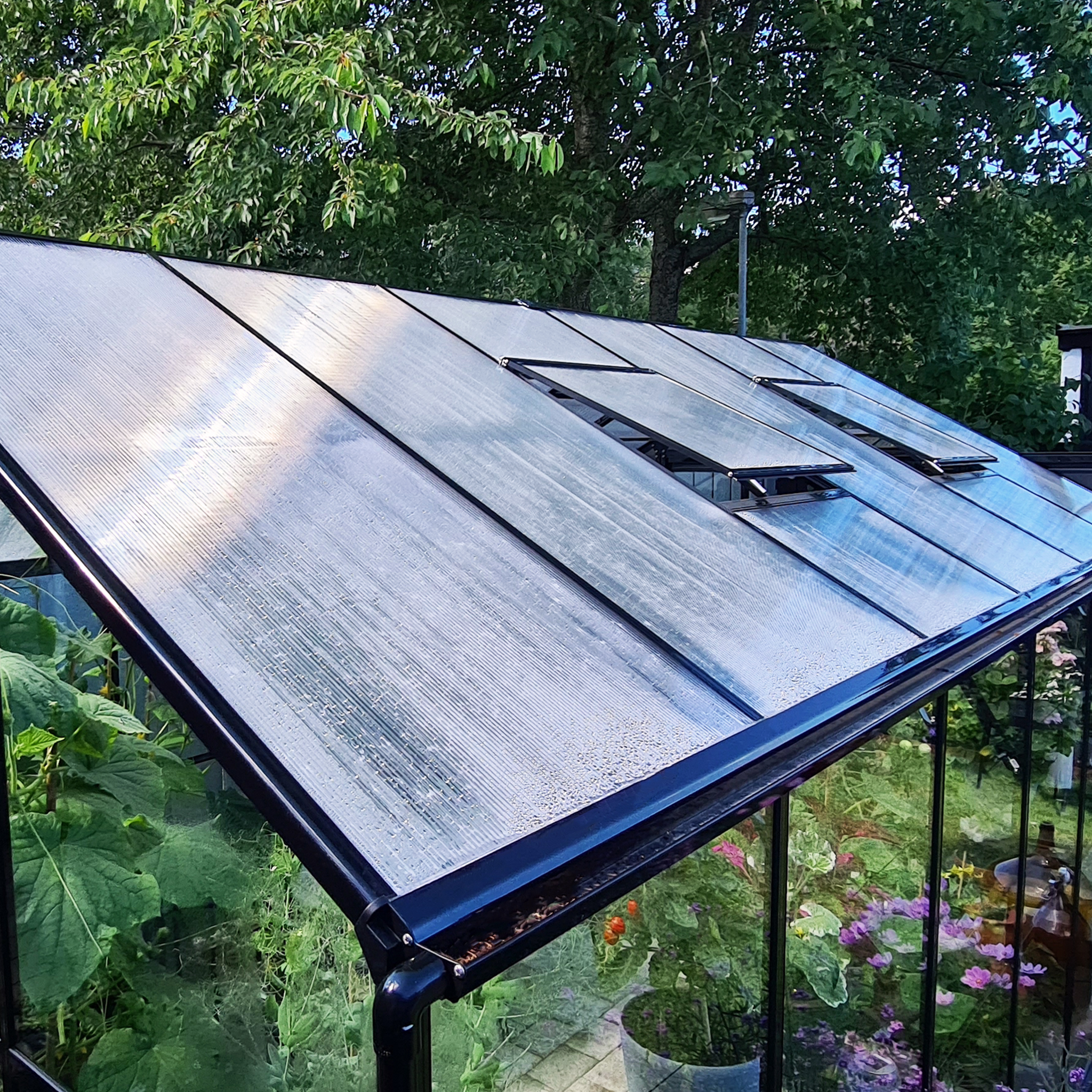 Växthus 9,6 m² | 4mm säkerhetsglas | 5 års stormgaranti Växthus 9,6 m² | 4mm säkerhetsglas | 5 års stormgaranti