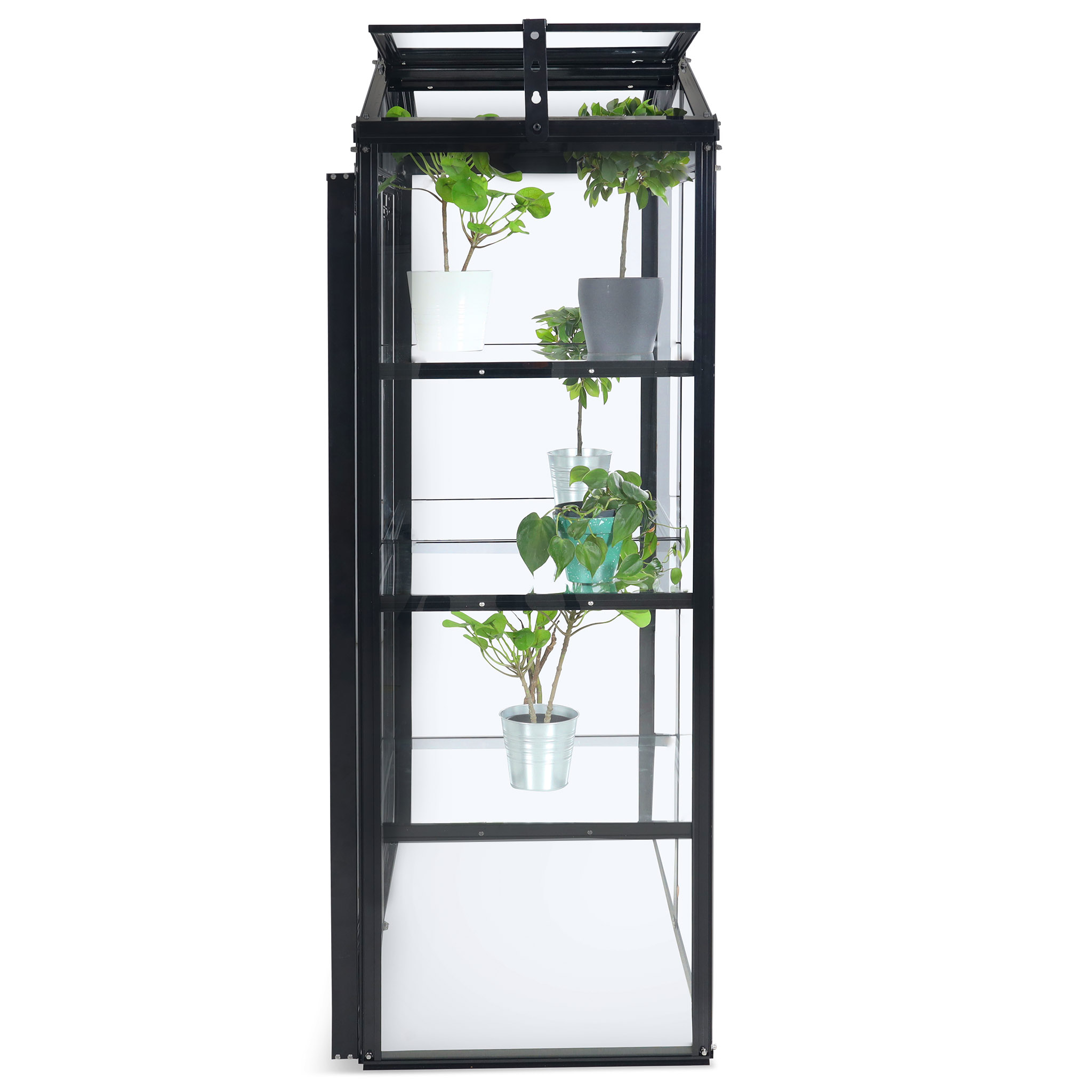 Högt miniväxthus V-tak | 4mm säkerhetsglas | Svart Högt miniväxthus V-tak | 4mm säkerhetsglas | Svart