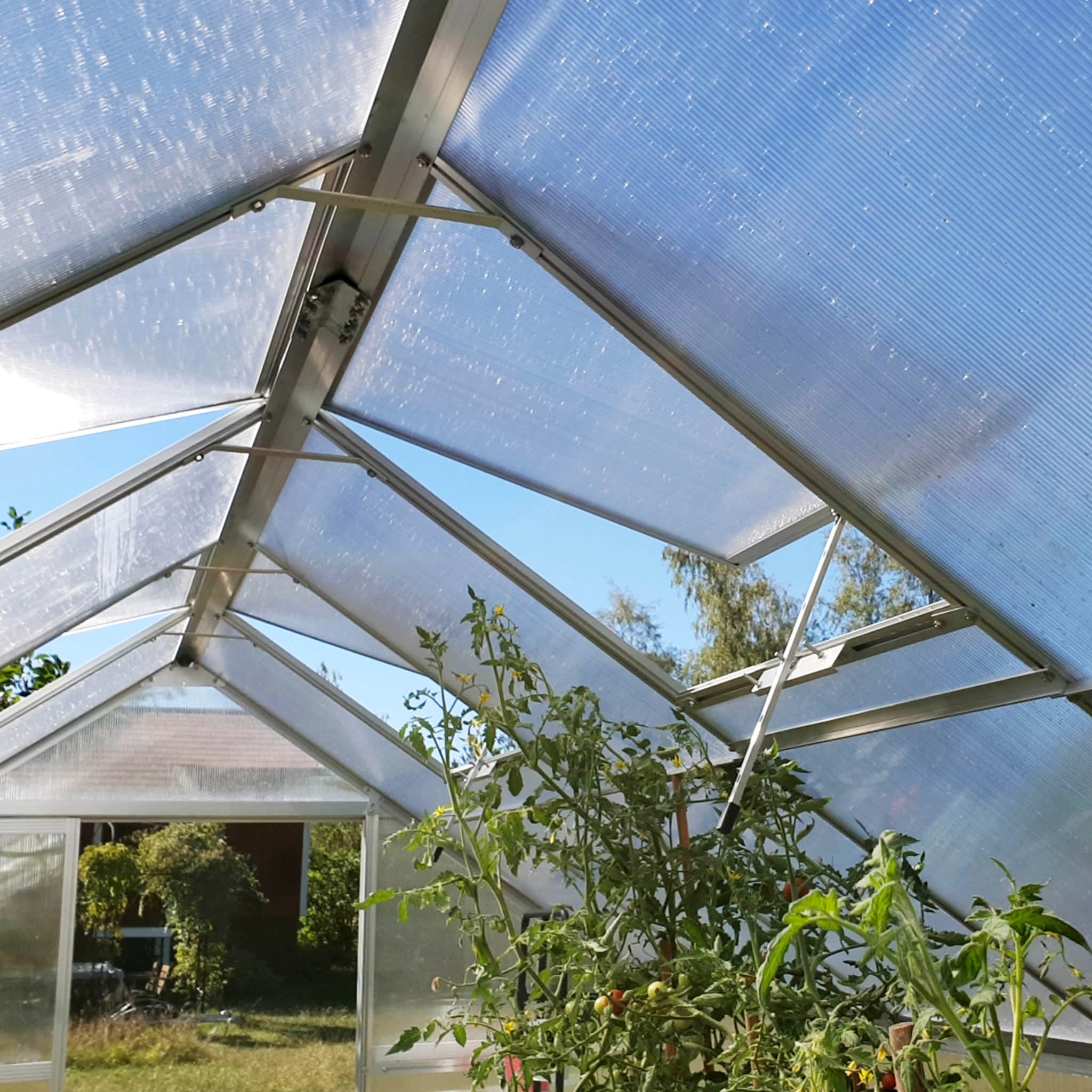 Växthus 12,4m² | Hög odlingshöjd | 6mm kanalplast Växthus 12,4m² | Hög odlingshöjd | 6mm kanalplast