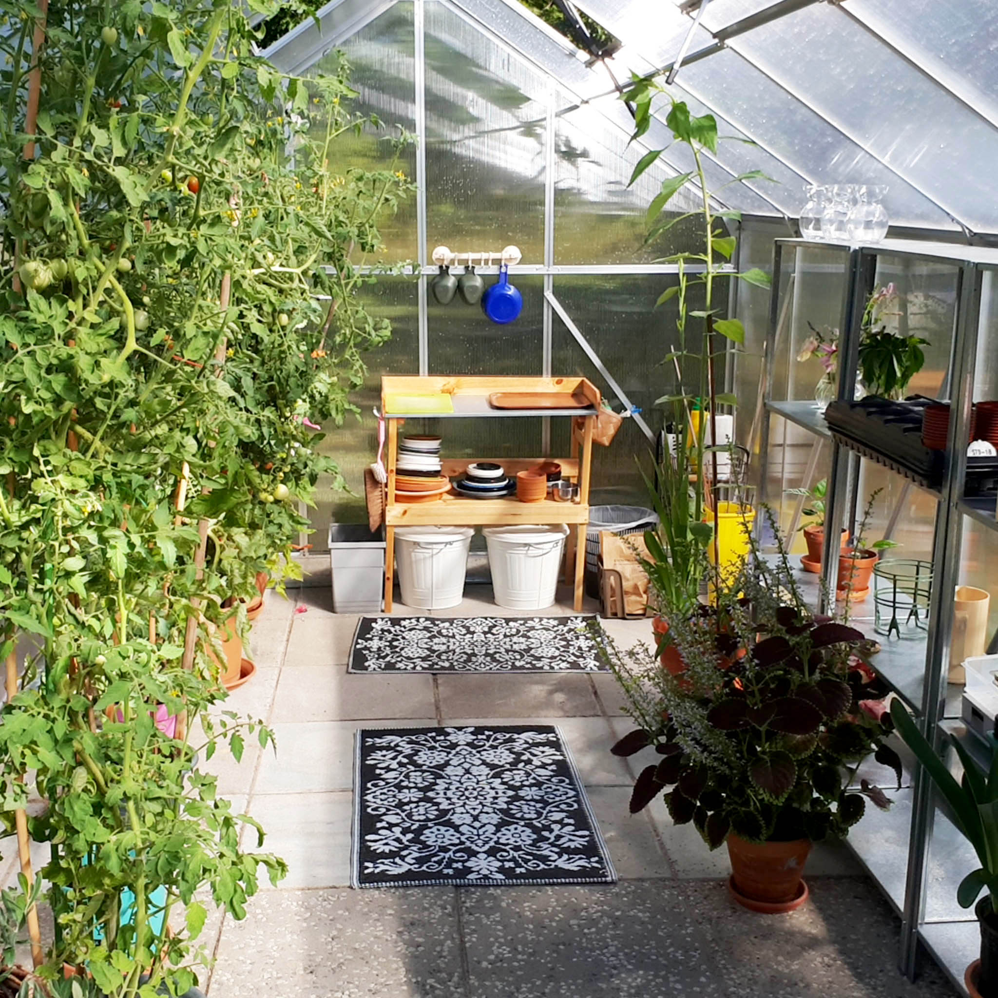 Växthus 12,4m² | Hög odlingshöjd | 6mm kanalplast Växthus 12,4m² | Hög odlingshöjd | 6mm kanalplast