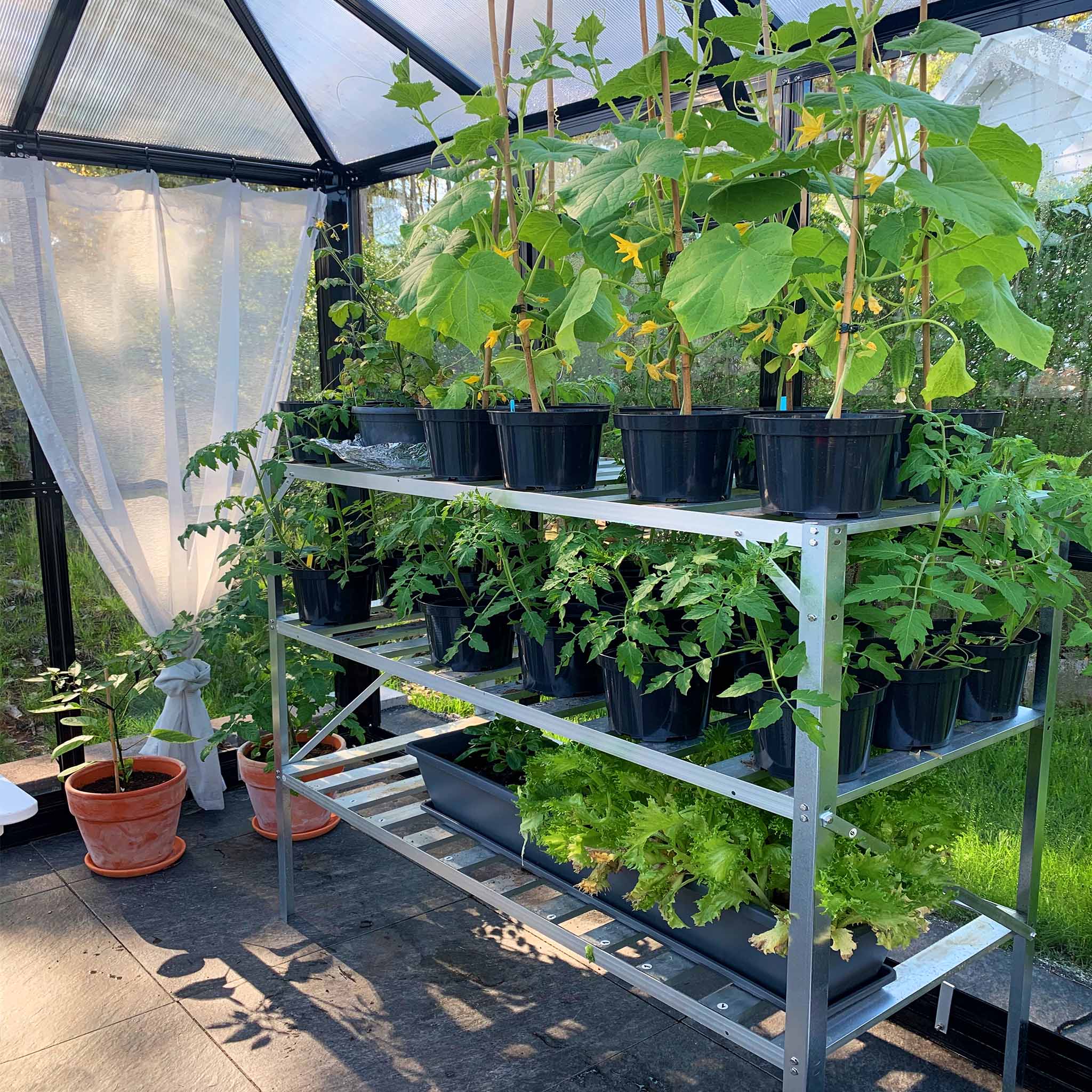 Växthus 8,7 m² | 5 års stormgaranti | Kvadratiskt premiumväxthus | Gazebo Växthus 8,7 m² | 5 års stormgaranti | Kvadratiskt premiumväxthus | Gazebo