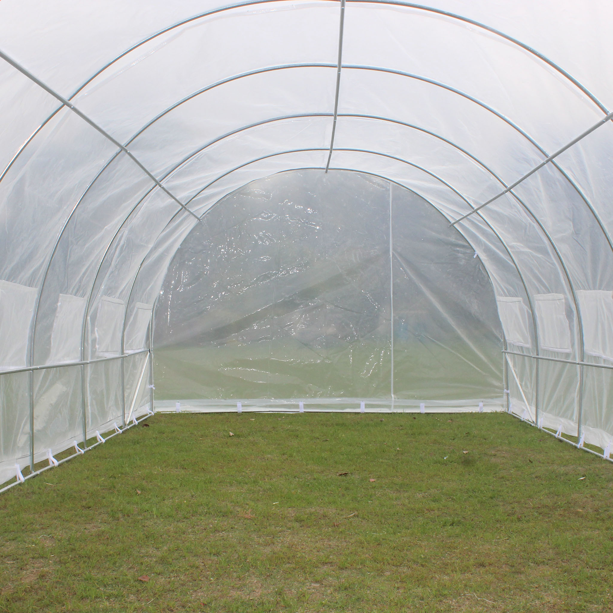 Tunnelväxthus 18m² | Stålram med transparent PE-plastöverdrag Tunnelväxthus 18m² | Stålram med transparent PE-plastöverdrag