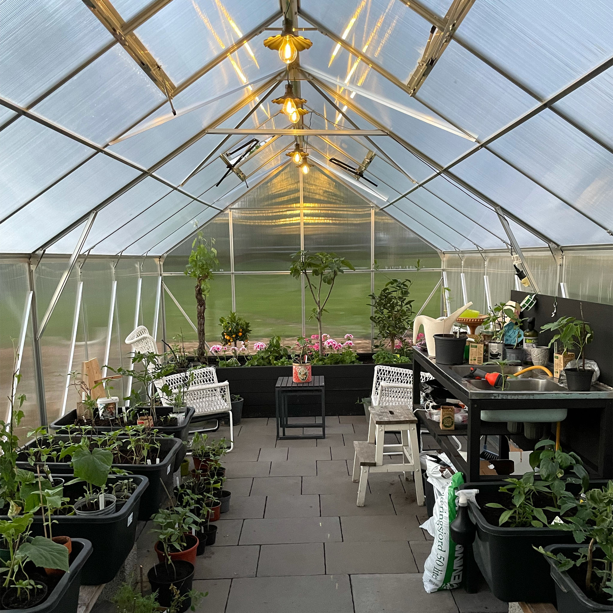 Växthus 18m² Premium | Extra hög odlingshöjd | 6mm kanalplast Växthus 18m² Premium | Extra hög odlingshöjd | 6mm kanalplast