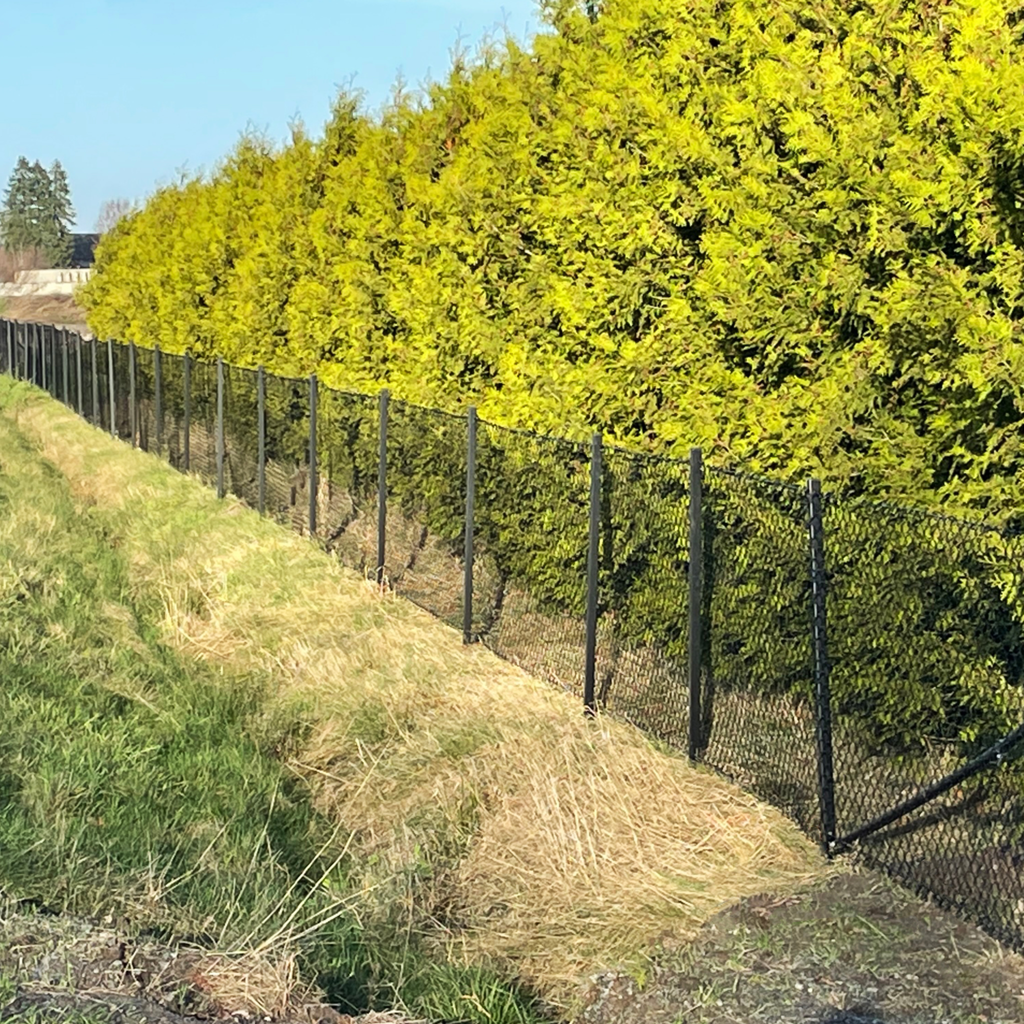 Villastängsel 120cm högt | 100 meter | Komplett paket Villastängsel 120cm högt | 100 meter | Komplett paket