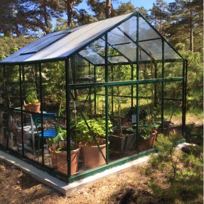 Glasväxthus 6,4 m2 | 4 mm säkerhetsglas | 5 års stormgaranti | Grön | Yta: 6,4 m2 (2,50 x 2,57 meter)