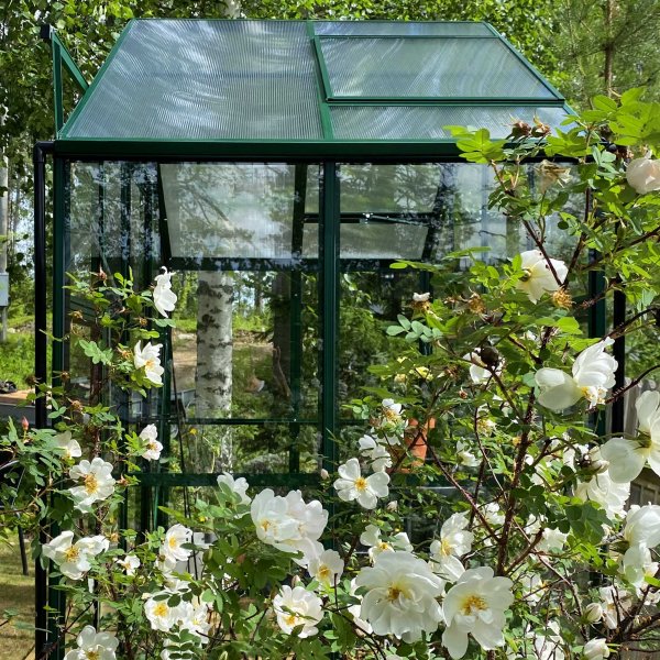 Växthus 3,3m² | 4mm säkerhetsglas | 5 års stormgaranti Växthus 3,3m² | 4mm säkerhetsglas | 5 års stormgaranti