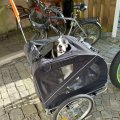 Kundbild Cykelvagn för hund | Lastkapacitet 40kg | Hopfällbar: Både jag och hunden är nöjda