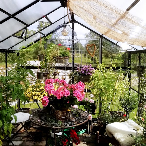 Glasväxthus 11,1m² | 4mm säkerhetsglas | 5 års stormgaranti Glasväxthus 11,1m² | 4mm säkerhetsglas | 5 års stormgaranti