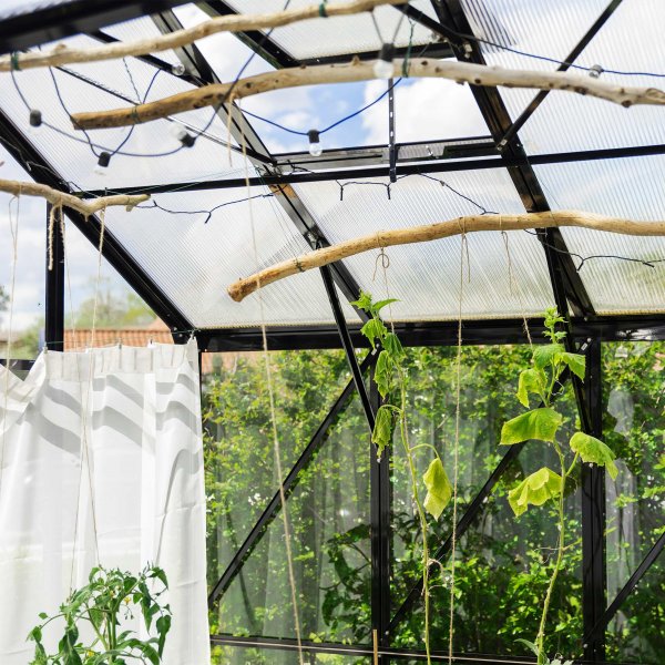 T-format glasväxthus 11,2m² | 4mm säkerhetsglas | 5 års stormgaranti T-format glasväxthus 11,2m² | 4mm säkerhetsglas | 5 års stormgaranti