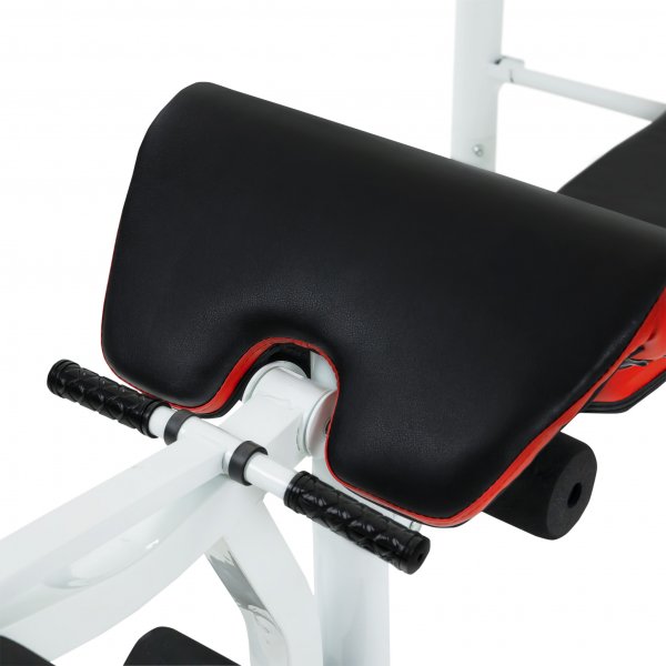 Skivstngsset Gladiator 81kg vikter