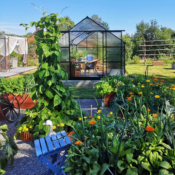 Växthus 18m² Premium | Extra hög odlingshöjd | 6mm kanalplast Växthus 18m² Premium | Extra hög odlingshöjd | 6mm kanalplast