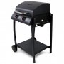 Gasolgrill med 2 brnnare - Portland