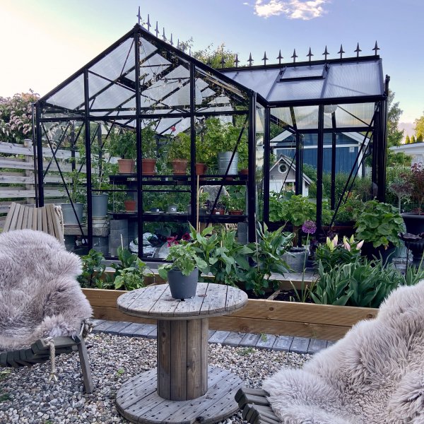 T-format glasvxthus 12,8m | 4mm skerhetsglas | 5 rs stormgaranti