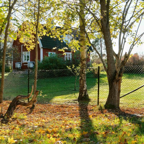 Villastängsel 120cm högt | 25 meter | Komplett paket Villastängsel 120cm högt | 25 meter | Komplett paket