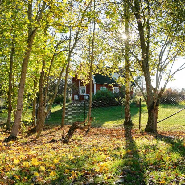 Villastngsel 120cm hgt | 100 meter | Komplett paket