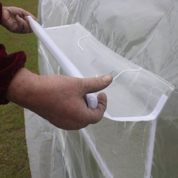 Tunnelvxthus 6m | Stlram med transparent PE-plastverdrag