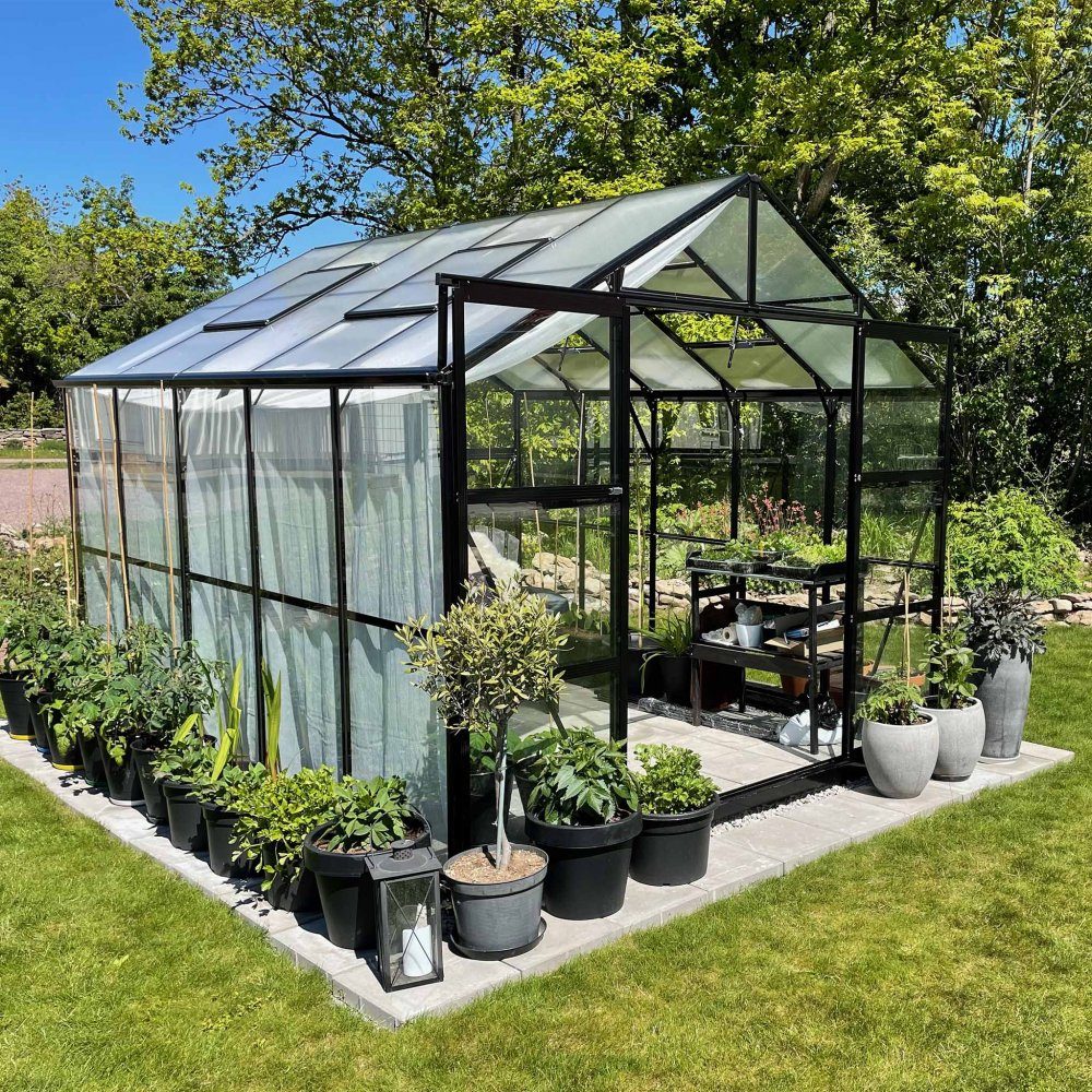 Glasväxthus 8,0m2  5 års stormgaranti  4mm säkerhetsglas  Svart  Yta: 8,0 m2 (3,11 x 2,57 meter)