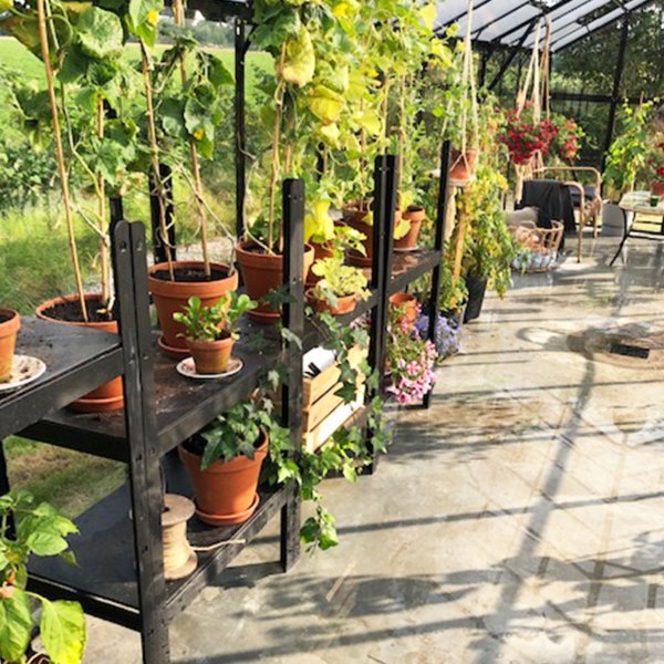 Glasväxthus 19m² | 5 års stormgaranti | 4mm säkerhetsglas Glasväxthus 19m² | 5 års stormgaranti | 4mm säkerhetsglas