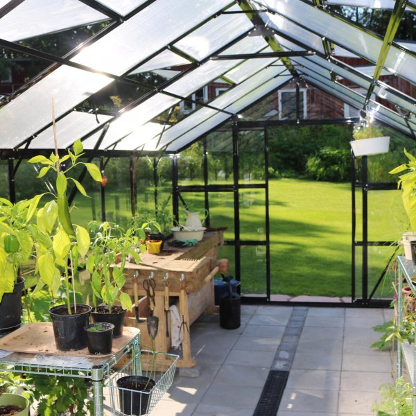 Glasväxthus 17,5 m² | 5 års stormgaranti | 4mm säkerhetsglas Glasväxthus 17,5 m² | 5 års stormgaranti | 4mm säkerhetsglas