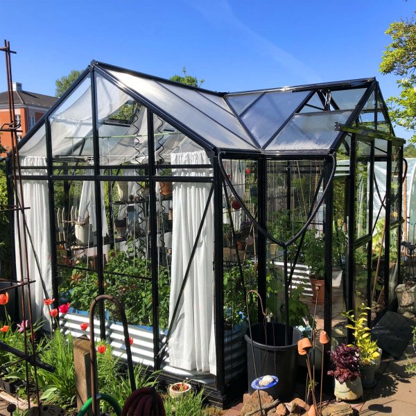 T-format glasväxthus 11,2m² | 4mm säkerhetsglas | 5 års stormgaranti T-format glasväxthus 11,2m² | 4mm säkerhetsglas | 5 års stormgaranti