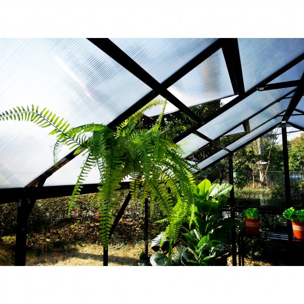 Växthus 14,4m² | 4mm säkerhetsglas | 5 års stormgaranti Växthus 14,4m² | 4mm säkerhetsglas | 5 års stormgaranti