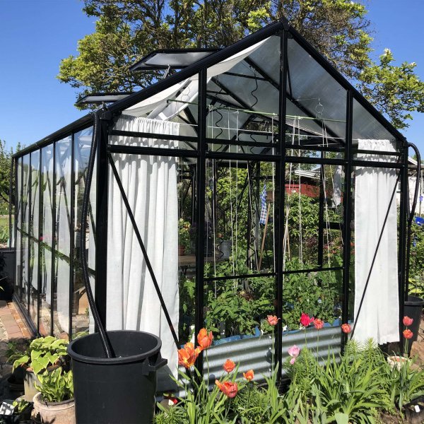 T-format glasväxthus 11,2m² | 4mm säkerhetsglas | 5 års stormgaranti T-format glasväxthus 11,2m² | 4mm säkerhetsglas | 5 års stormgaranti